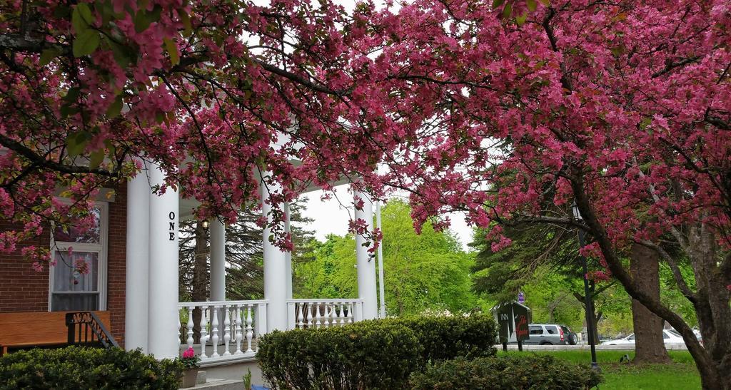 Inn At The Agora Lewiston Esterno foto